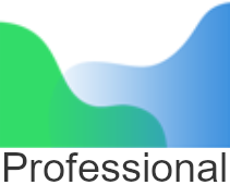 Agisoft Metashape Professional Pływająca licencja (Floating License)